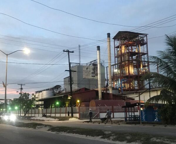 WhatsApp Image 2025-11-12 at 11.09.52 AM