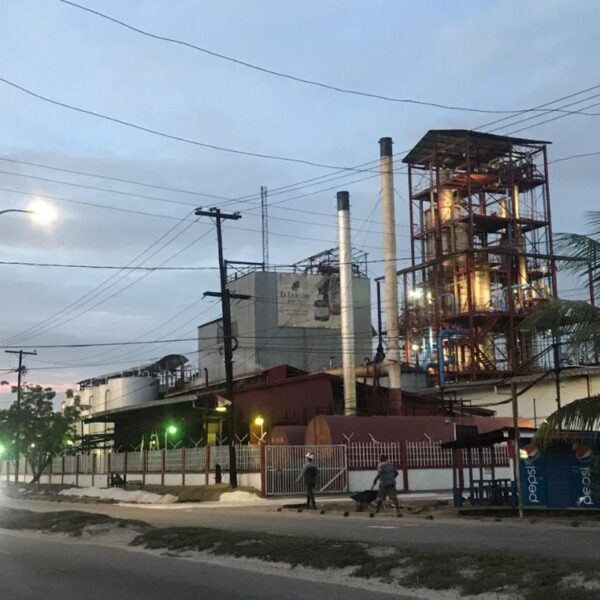 WhatsApp Image 2025-11-12 at 11.09.52 AM