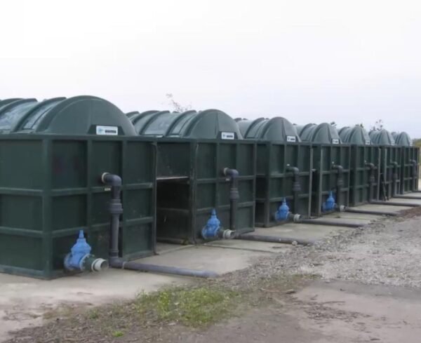 WhatsApp Image 2025-11-12 at 11.16.11 AM