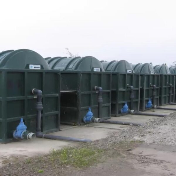 WhatsApp Image 2025-11-12 at 11.16.11 AM